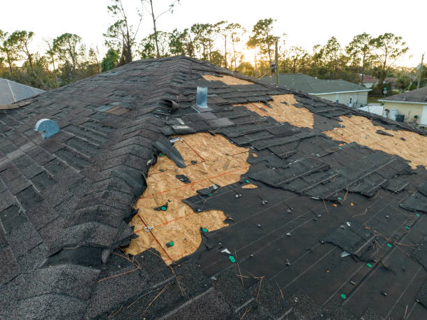Best Hot Roofs  in San Buenaventura, CA