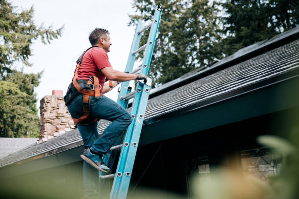 Best Roof Leak Repair  in San Buenaventura, CA