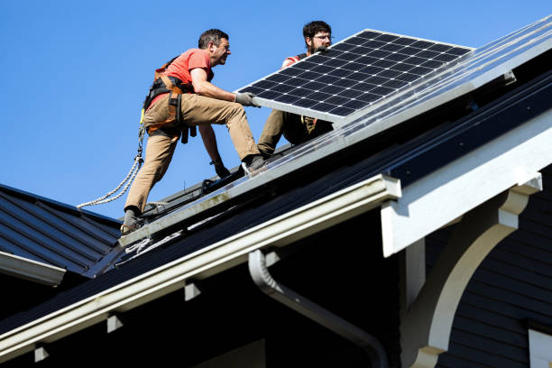 Best Roof Maintenance and Cleaning  in San Buenaventura, CA