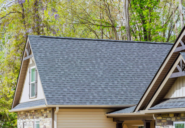 Best Roof Insulation Installation  in San Buenaventura, CA